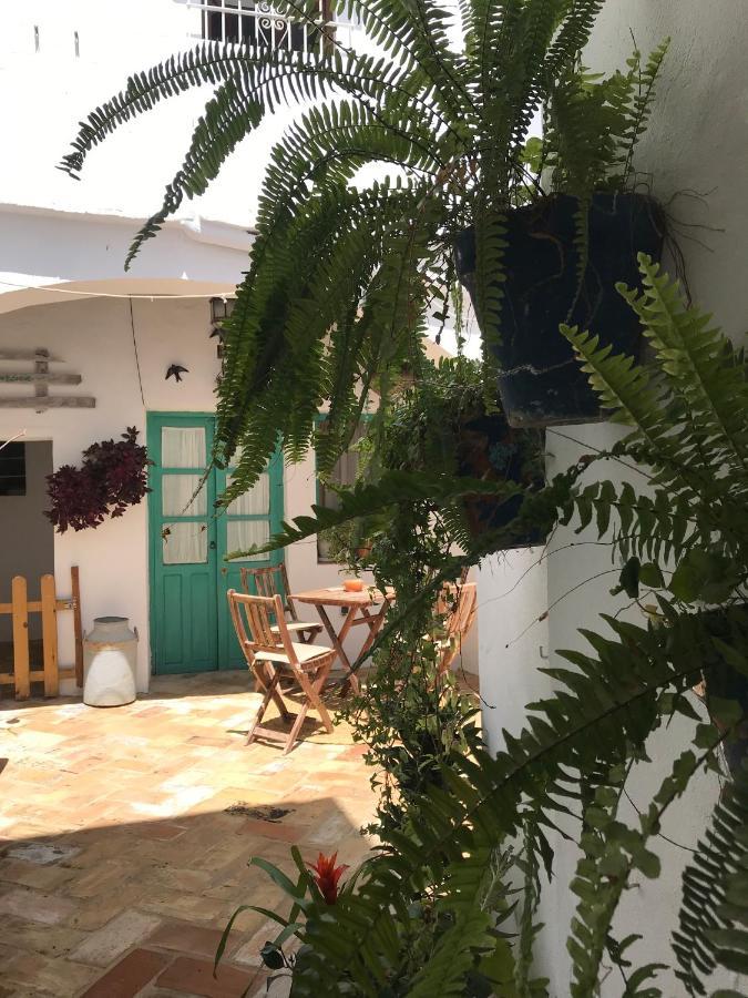 Apartamento Casa Aguamarina Vejer de la Frontera Exterior foto
